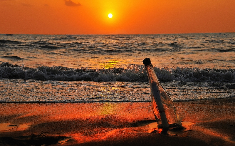 730 - SUNSET LOVE - ALDGHARI SALEH - saudi arabia.jpg